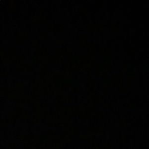 Meet your Posher, Dylan